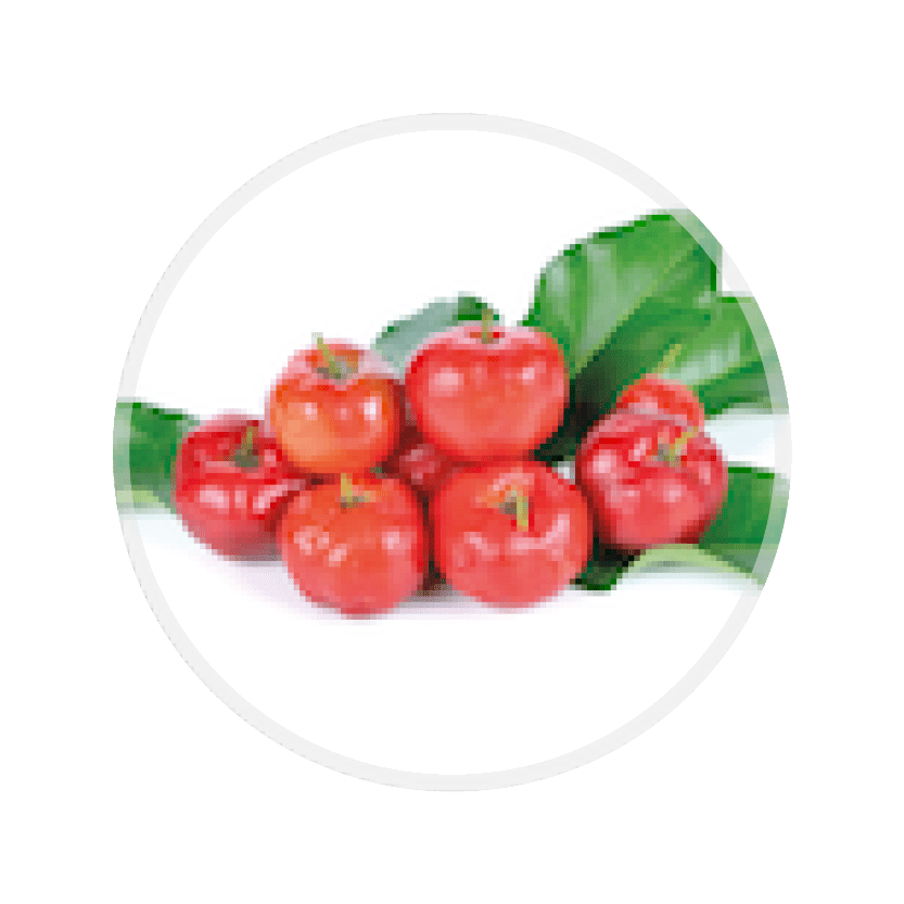 Acerola Kirsche Image