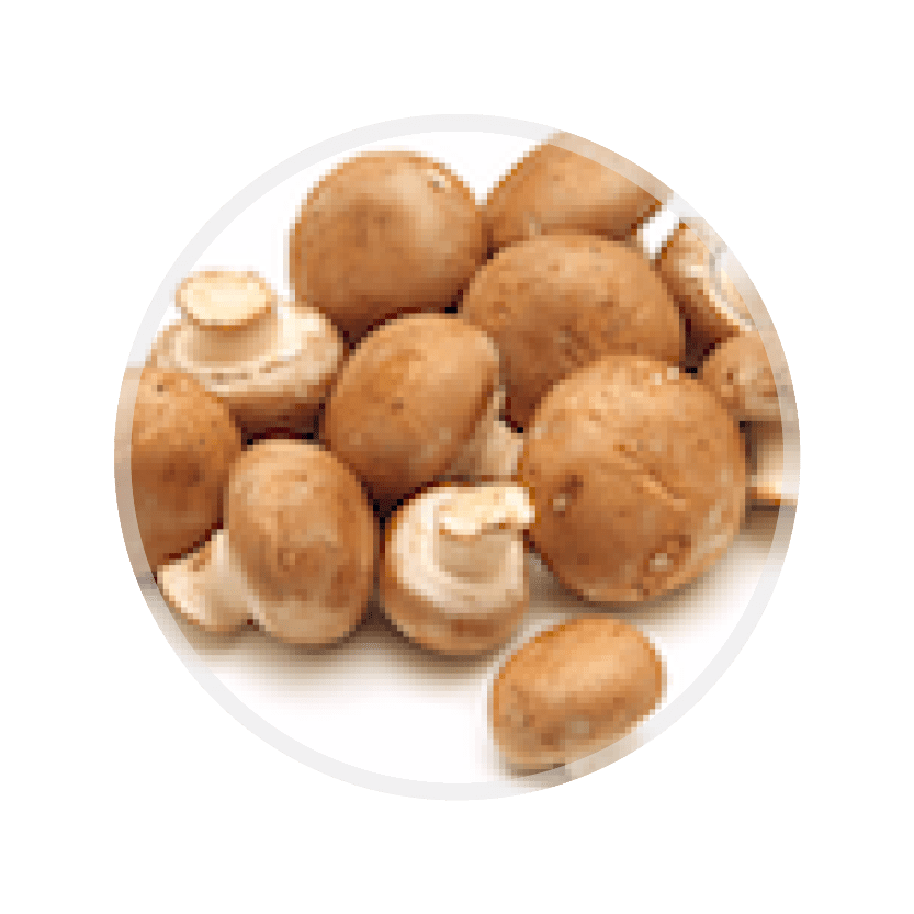 Champignons Image